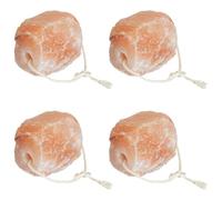 vidaXL Himalaya Lot de 4 blocs de sel naturels de qualité supérieure pour chevaux - Forme cylindrique - Complément minéral essentiel pour la santé des chevaux