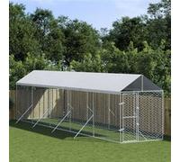 Vidaxl Chenil D'extérieur Pour Chiens Avec Toit Argenté 2x10x2,5 M