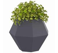 vidaXL Jardinière 2 pcs Anthracite 50 x 50 x 40 cm Acier, Jardin et terrasse, bac à Fleurs Solide, Support rectangulaire, décor d'herbes et Verdure, boîte
