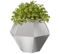 vidaXL Jardinière 2 pcs Argent 100 x 100 x 80 cm Acier Inoxydable, Jardin et terrasse, bac à Fleurs Solide, Support rectangulaire, décor d'herbes et Verdure, boîte