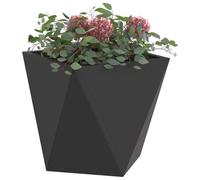 vidaXL Jardinière 2 pcs Noir 30 x 30 x 30 cm Acier, Jardin et terrasse, bac à Fleurs en Acier Robuste, boîte rectangulaire pour déco de Patio