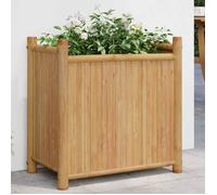 vidaXL Jardinière lit surélevé bambou 50x30x50 cm 366462