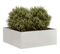 vidaXL Jardinière 80x80x30 cm Acier Inoxydable