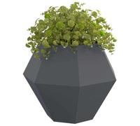 vidaXL Jardinière Anthracite 100 x 100 x 80 cm Acier, Jardin et terrasse, bac à Fleurs Solide, Support rectangulaire, décor d'herbes et Verdure, boîte