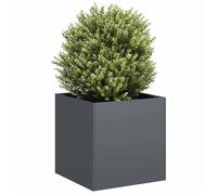 vidaXL Jardinière anthracite 40x40x40 cm acier laminé à froid, pot de fleurs, support de plantes, lit surélevé, support de 860663