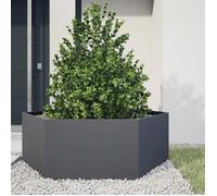 vidaXL Jardinière anthracite hexagone 138x120x45 cm acier, jardinière de fleurs, jardinière de patio, jardinière de jardin, 851138