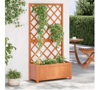 vidaXL Jardinière avec Treillis, Bois de Sapin Massif, Marron, 70x30x135 cm, Bac à Fleurs pour Terrasse et Jardin 316426