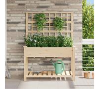 Vidaxl Jardinière Avec Treillis Et Étagère 115x59x152 Cm En Bois Massif De Sapin