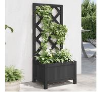 vidaXL Jardinière avec Treillis, Lit Surélevé, Bac à Fleurs, Pot de Plantes, Boîte à Fleurs Jardin Patio Terrasse, Noir Bois 365475