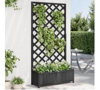 vidaXL Jardinière avec Treillis, Lit Surélevé, Bac à Fleurs, Pot de Plantes, Boîte à Fleurs Jardin Patio Terrasse, Noir Bois 365481