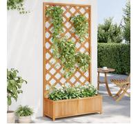 vidaXL Jardinière avec Treillis, Lit Surélevé, Bac à Fleurs, Pot de Plantes, Boîte à Fleurs Jardin Patio Terrasse, Marron 365479