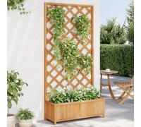 vidaXL Jardinière avec Treillis, Lit Surélevé, Bac à Fleurs, Pot de Plantes, Boîte à Fleurs Jardin Patio Terrasse, Marron 365479