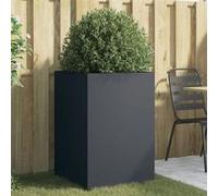 Vidaxl Jardinière Anthracite 52x48x75 Cm Acier Laminé À Froid