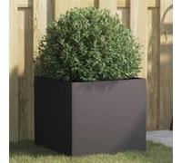vidaXL Jardinière surélevée bac à fleurs 42x40x39 cm acier noir