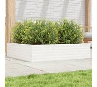 Jardinière Pot de Fleurs Bac à Plantes Boîte Terrasse Patio Extérieur vidaXL