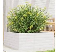 Jardinière Pot de Fleurs Bac à Plantes Boîte Terrasse Patio Extérieur vidaXL