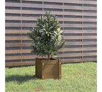 vidaXL Jardinière extérieur Marron miel 31x31x31 cm Bois de pin massif