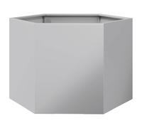 vidaXL Jardinière hexagone 69x60x45 cm Acier galvanisé