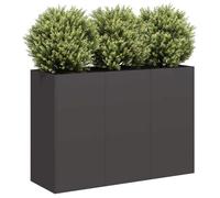 vidaXL Jardinière 120x40x80 cm – Acier laminé à froid – Noir – Pot de fleurs et support de plantes
