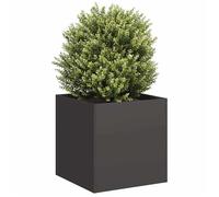 vidaXL Jardinière en acier laminé à froid 40x40x40 cm Noir