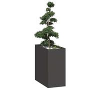 vidaXL Jardinière en acier Noir 40x80x80 cm – Pot de fleurs surélevé