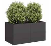 vidaXL Jardinière surélevée Noir 80x40x40 cm Acier laminé à froid