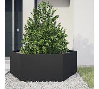 vidaXL Jardinière noir hexagone 138x120x45 cm acier, jardinière de fleurs, jardinière de patio, jardinière de jardin, 851136