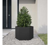 Vidaxl Jardinière Noir Hexagone 69x60x45 Cm Acier
