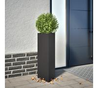 vidaXL Jardinière Noir Triangulaire 30x26x75 cm Acier, jardinière d'extérieur, boîte à Fleurs, boîte de Jardin, jardinière de Patio, boîte à Plantes