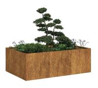 vidaXL Jardinière rouillée 120x80x40 cm en acier inoxydable