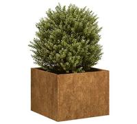 Vidaxl Jardinière Rouillé 40x40x30 Cm Acier Inoxydable