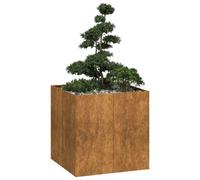 vidaXL Jardinière rouillée 80x80x80 cm Acier inoxydable