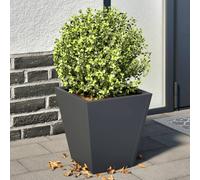 Vidaxl Jardinières 2 Pcs Anthracite 30x30x30 Cm Acier