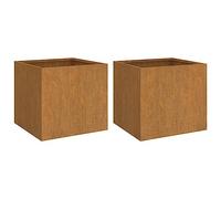 Jardinières 2 pcs, Bacs à Fleurs, Lits Surélevés, Pots de Plantes, Décorations de Jardin Patio Terrasse Extérieur, Rouillé 49x47x46 cm Acier Corten