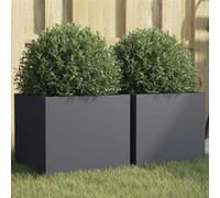 Jardinières 2 pcs, Bacs à Fleurs, Pots de Plantes, Boîtes à Fleurs, Jardinières Surélevées de Jardin Terrasse, 841540