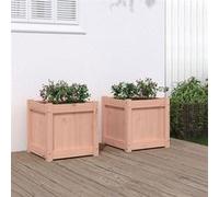 Vidaxl Jardinières 2 Pcs Bois Massif Douglas