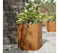 vidaXL Jardinières 2 pièces hexagonales 46x40x45 cm acier patinable