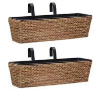 vidaXL Jardinières 2 pcs Jacinthe d'eau