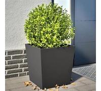 vidaXL Jardinières 2 pièces en acier noir 50x50x50 cm - pour extérieur (851067)