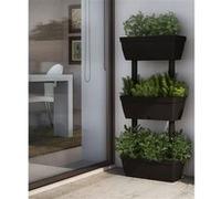 6× Jardinières Anthracite Lits Surélevés Boîtes à Fleurs Bacs Plantes vidaXL
