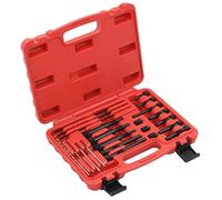 vidaXL Jeu de bougies de préchauffage 22 pcs 8 et 10 mm