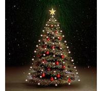 vidaXL Kerstboomverlichting met 180 LED's net 180 cm50699 Orange G