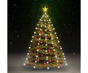 vidaXL Kerstboomverlichting met 210 LED's koudwit net 210 cm328879 Blanc G
