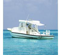 Vidaxl Kit D'extension D'ombrage T-Top Blanc 174x205x(115-194) Cm