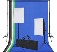 vidaXL Kit studio photo 5 fonds de couleur & 2 boîtes à lumière
