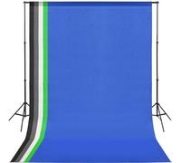 vidaXL Kit studio photo avec boîtes à lumière et système d'arrière-plan