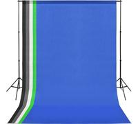 vidaXL Kit studio photo avec fond et lampe softbox