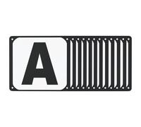 vidaXL Lettres d'arène de dressage 12 pcs acier
