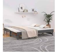 vidaXL Lit Coulissant Lit de Jour Lit d'Invité Sommier à Lattes Meuble de Chambre à Coucher Salon Intérieur Gris 2x(80x200) 823386