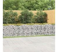 Lit surélevé à gabions arqué 600x100x100 cm Fer galvanisé